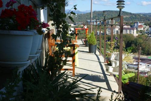 Hostal Guest House Panorama