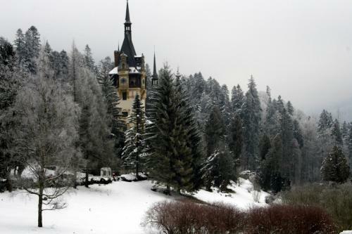 Hostal Pension Sinaia - Casa Ta
