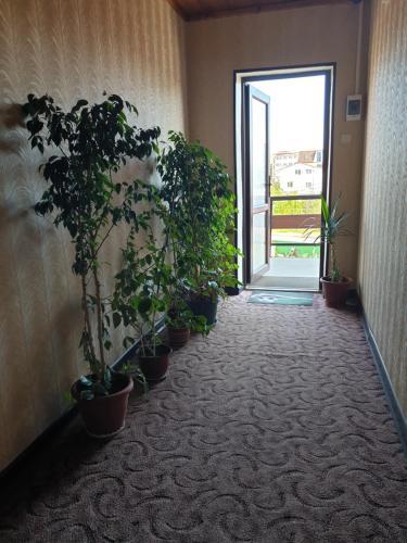 Hostal Guest House On Lenina 170