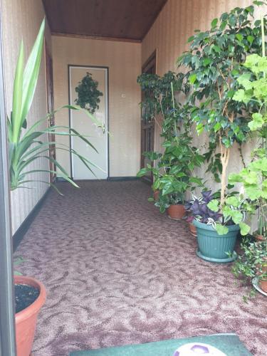 Hostal Guest House On Lenina 170