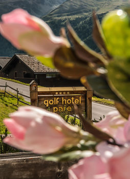 Hotel Par�