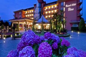Hotel Grand Dino