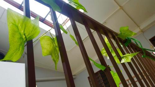 Alice Nyonya House