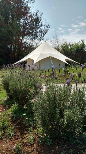 Acatitlan Glamping
