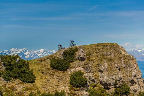 Gasthof Hotel Terzer