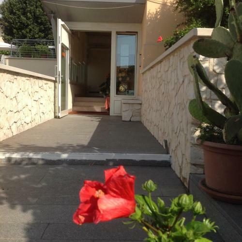 Hostal Ca' Rodi