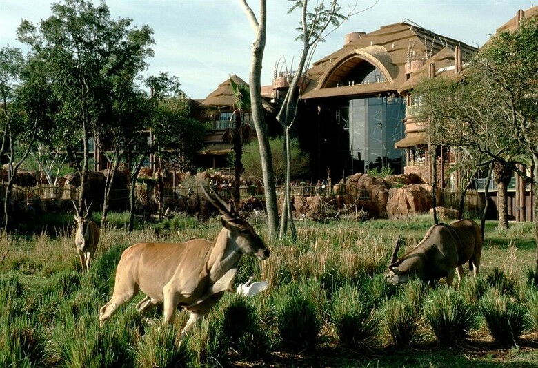 Hotel Disney's Animal Kingdom Lodge