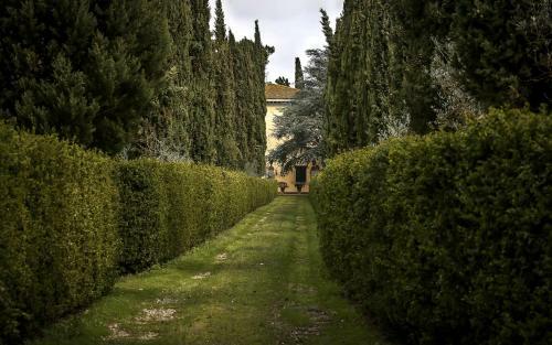 Villa Fattoria La Collina