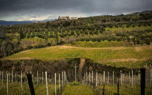Villa Fattoria La Collina