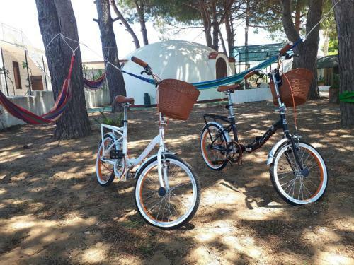 Apartamento Oltremare