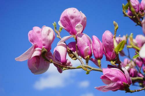 Apartamento Die Ferienwohnung In Marling