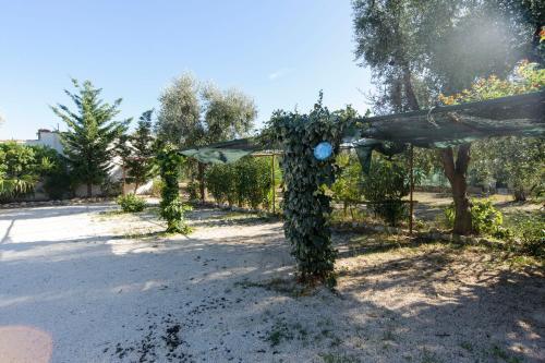 Apartamento Appartamenti Sul Mare Da Antonino