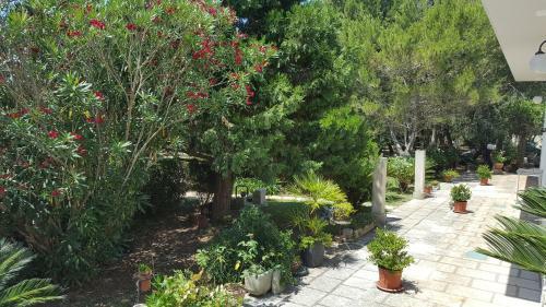 Villa Tenuta La Fresa