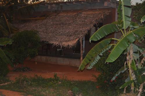 Hostal Wadiya Tourist Guest House