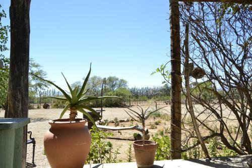 Hostal Aloe Guest House
