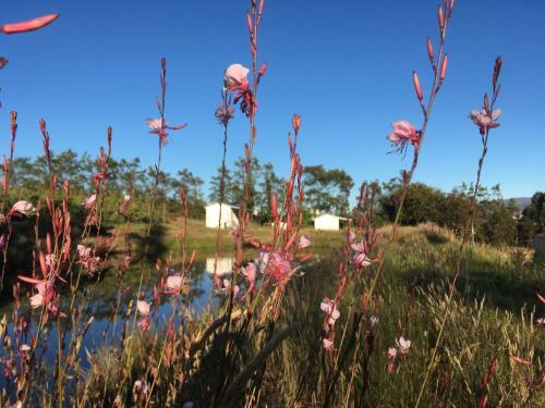 Agroturismo Cheverells Farm