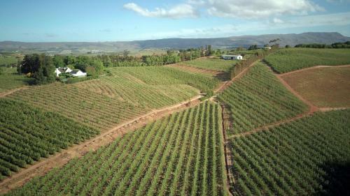 Agroturismo Cheverells Farm