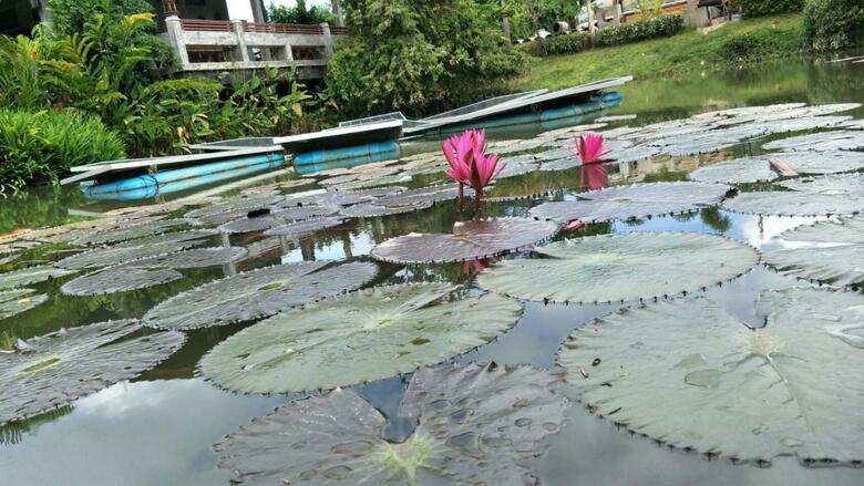 Hotel Arthaya Villas