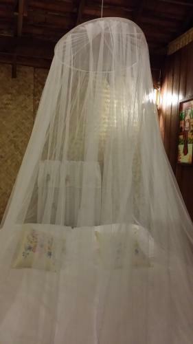 Hostal Honey Land