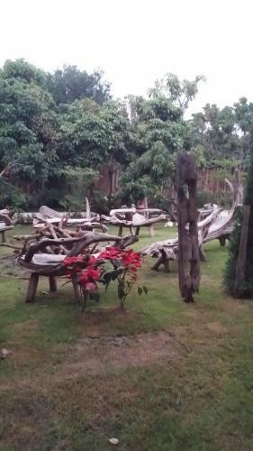 Hostal Honey Land