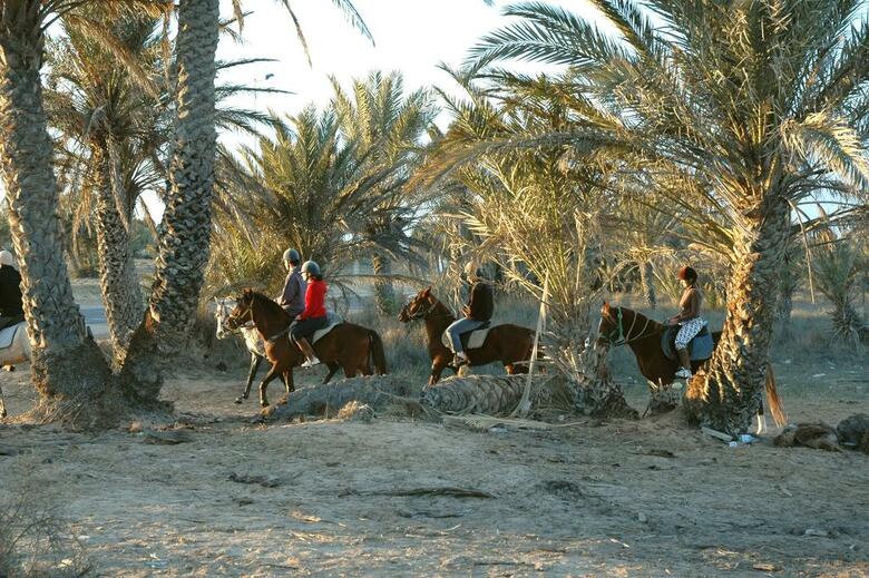 Hotel Djerba Castille