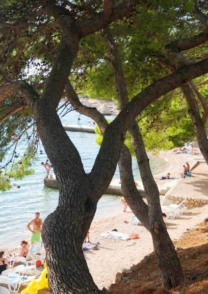 Hotel Holiday Village Sagitta