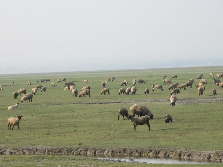 Hotel H�tel Le Gue Du Holme