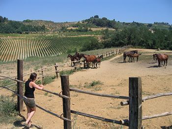 Bed & Breakfast Farm House La Moraia