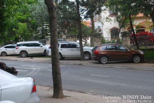 Windy Dalat