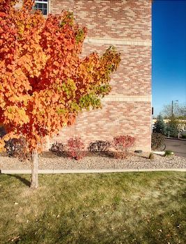 Hotel Savannah Suites - Arvada, Colorado