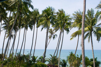 Hotel Hoang Ngoc Resort