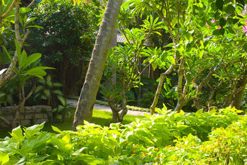 Hotel Hoang Ngoc Resort