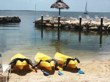 Hotel Amy Slate's Amoray Dive Resort