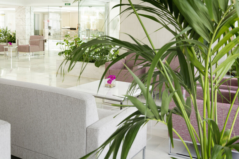 Hotel Hsm S'olivera