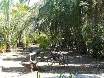 Agroturismo Es Palmer Oase