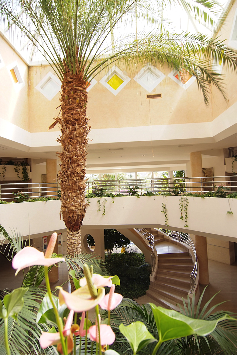 Aparthotel Zafiro Palmanova