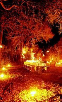 Hotel Honeyguide Tented Safari Camps