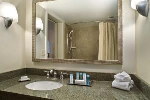 Hotel Crystal City Hilton