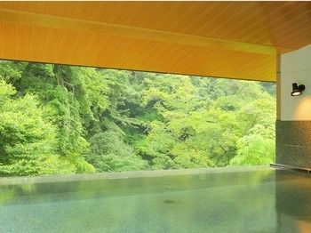 Hotel Hakone Yumoto Onsen Tenseien