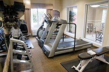 Holiday Inn Express Hotel & Suites Vestal