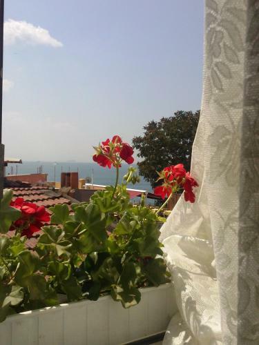 Hotel Buhara Family Inn