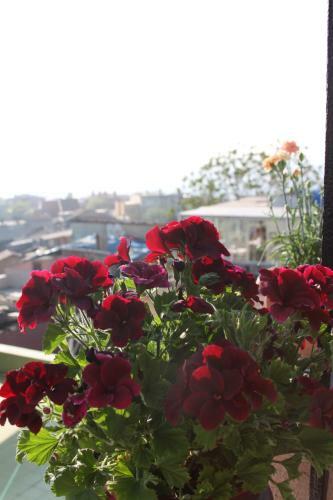 Hotel Buhara Family Inn