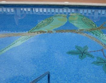 Hotel Los Periquitos