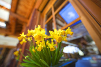 Sunstar Style Hotel Zermatt