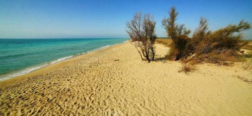 Bed & Breakfast Antica Masseria Del Fano