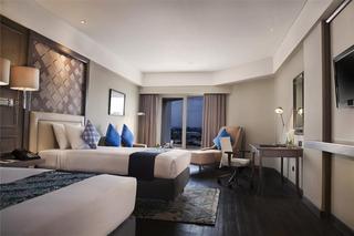 Hotel Melia Purosani