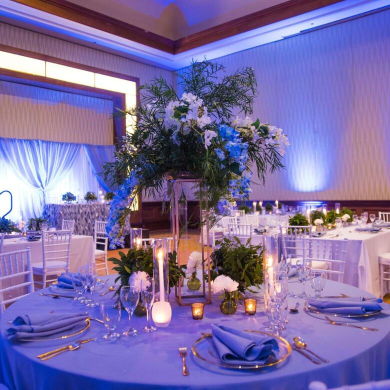 Hotel Hilton Barbados