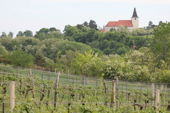 Pension Wein- & Schlafgut K�ssler