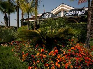 Hotel Leucosya