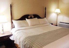 Hotel Econo Lodge City Centre Kingston